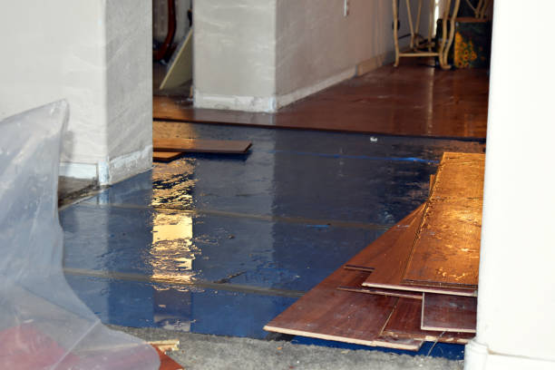 Professional Basement Water Removal technician working in Richwoods, MO